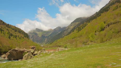 Ein-Grünes-Tal-Mit-Einem-Gebirgsfluss-Unter-Einem-Blauen-Himmel-In-Den-Französischen-Pyrenäen