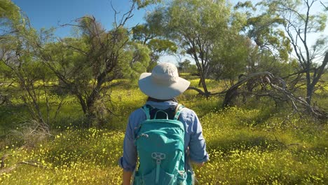 Person-walks-through-native-scrub-and-wildflowers,-Coalseam,-Western-Australia