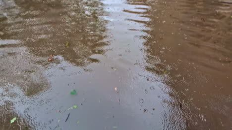 Slow-motion-pan-of-man-legs-standing-in-shallow-floodwater-rainy-river-in-middle-of-street-road-with-park-trees-buildings-natural-disaster-hazard-flash-flood-weather-town-climate