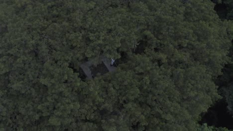 High-Observation-tower-in-the-amazon-rainforest,-overlooking-the-canopy-for-tourists