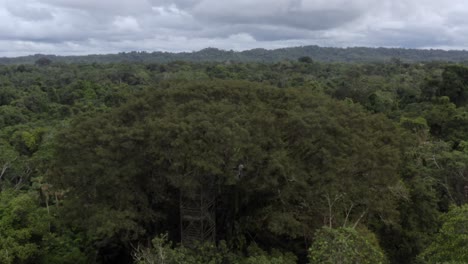 Flug-über-Den-Amazonas-Regenwald-Aus-Der-Perspektive-Von-Touristen,-Die-Auf-Der-Beobachtungsplattform-Nach-Tieren-Ausschau-Halten