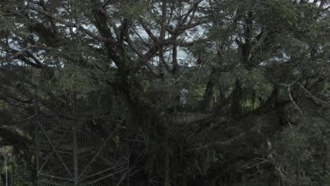 Tourismusgäste-Auf-Einem-Turm-Im-Amazonas-Regenwald-Auf-Der-Suche-Nach-Tieren