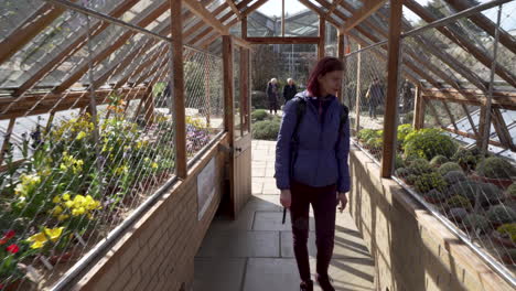 Dolly-shot-of-a-girl-walking-and-looking-at-plants-in-a-wooden-greenhouse-in-botanical-garden-at-nice-sunny-day