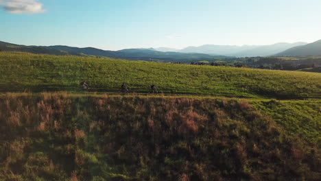 Side-view-of-friends-mountain-biking-on-hill-dirt-trail