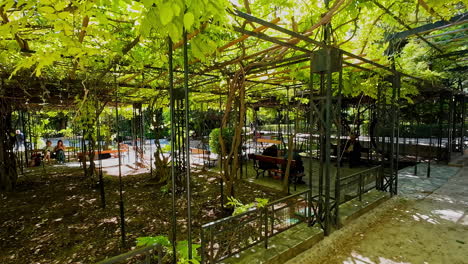 La-Gente-Se-Relaja-En-Bancos-Bajo-Una-Exuberante-Vegetación-En-Un-Tranquilo-Jardín-Botánico-En-Atenas,-Grecia.