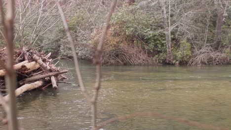 Pan-right-over-down-trees-and-water-flow's-slow