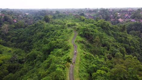 Aerial-drone-view-of-Campuhan-Ridge,-Stone-footpath-among-bright-colorful-meadows-with-green-grass,-palm-trees,-hills-overgrown-with-tropical-rainforest-and-rice-terraces-in-Ubud,-Bali,-Indonesia