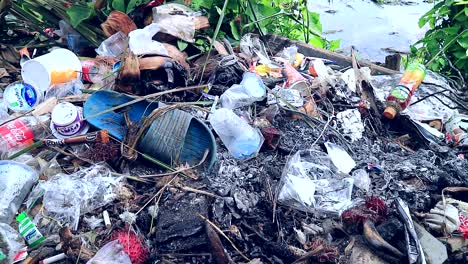 Basura-Esparcida-En-La-Plantación-Por-La-Tarde.