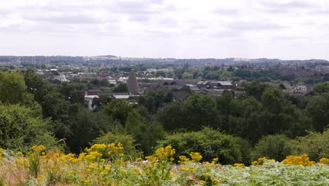 A-view-of-Red-House-Glass-Cone-from-the-hill-by-Holy-Trinity-Church,-looking-across,-bracken,-ragwort-and-trees