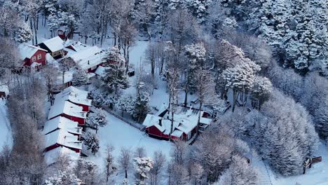 Patagonia-Forest-At-Ushuaia-In-Tierra-Del-Fuego-Argentina