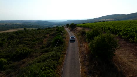 Aerial-tracking-shot-of-a-vehicle-driving-past-a-healthy-vineyard-in-France