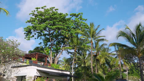 High-end-resort-building-surrounded-by-lush-tropical-trees-under-a-clear-sky,-slow-pan-right-as-wind-blows-trees