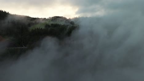 Aerial-view-capturing-dense-fog-rolling-over-a-lush-forest-during-sunset,-showcasing-nature's-beauty-and-tranquility