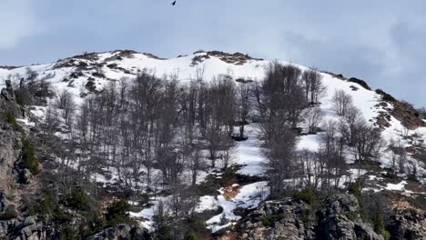 Skyline-Von-Patagonien-In-Bariloche-In-Rio-Negro,-Argentinien