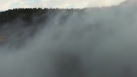 A-mesmerizing-aerial-view-capturing-dense-fog-rolling-over-a-lush-forest-during-sunrise,-showcasing-nature's-beauty-and-tranquility