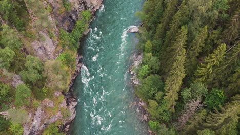 Aerial-birds-eye-perspective-of-a-vibrant-turquoise-river-winding-through-dense-green-forest,-illustrating-the-natural-beauty-and-contrast-between-water-and-foliage