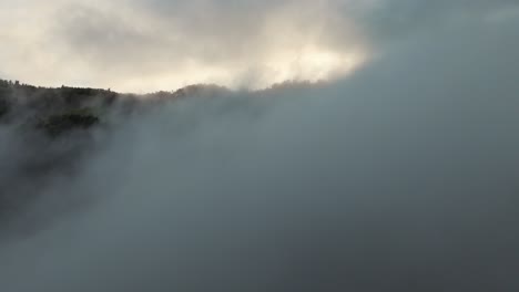 Aerial-view-capturing-dense-fog-rolling-over-a-lush-forest-during-sunrise,-showcasing-nature's-beauty-and-tranquility