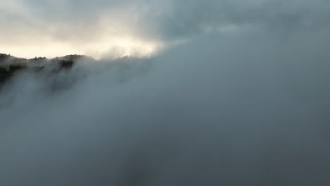 Eine-Faszinierende-Luftaufnahme-Von-Dichtem-Nebel,-Der-über-Einem-üppigen-Wald-Dahinrollt-Und-Die-Schönheit-Und-Ruhe-Der-Natur-Zur-Schau-Stellt