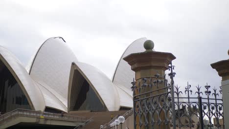 Vogel-Fliegt-Vor-Dem-Opernhaus-Von-Sydney