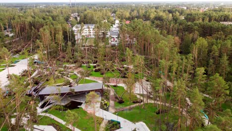 Trees-uprooted-with-heavy-winds-during-hurricane-in-residential-area