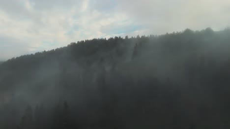 Aerial-of-fog-covered-forest-with-a-distant-treeline-and-cloudy-sky,-evoking-a-sense-of-mystery-and-tranquility-in-the-natural-landscape