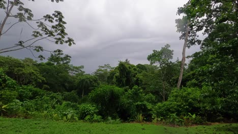 Timelapse-video-of-a-rainy-tropical-storm-moves-through-a-green-rainforest-in-Sarapiqui,-Costa-Rica