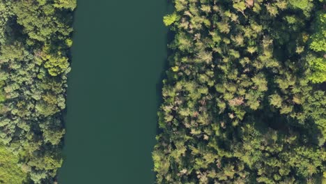 Bird's-Eye-View-Of-River-With-Lush-Vegetation-In-Tordoia,-A-Coruña,-Spain---Drone-Shot