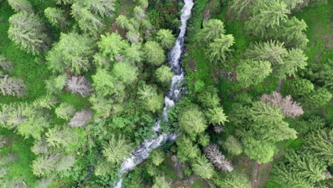 Cascada-Del-Rutor-Que-Fluye-A-Través-De-Un-Exuberante-Bosque-Verde,-Vista-Aérea