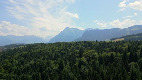 Toma-Aérea-De-Un-Bosque-Con-Montañas-Al-Fondo.