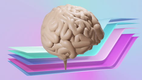 Animation-of-human-brain-moving-ove-layers-on-multi-coloured-background