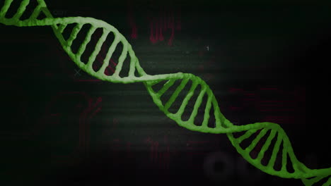 Verarbeitung-Wissenschaftlicher-Daten,-DNA-Strang-Und-Binäre-Kodierungsanimation