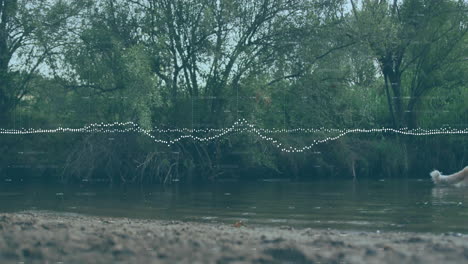 Animación-De-Forma-De-Onda-Sobre-La-Orilla-Del-Río-Con-árboles-En-El-Fondo