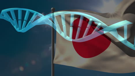 Dna-strand-animation-over-japan-flag-with-red-and-white-design