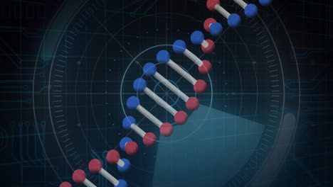 Animación-De-La-Estructura-Molecular-Y-La-Cadena-De-ADN-Sobre-Visualización-De-Datos-Científicos