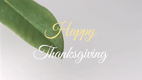 Happy-Thanksgiving-text-animation-over-green-leaf-on-white-background