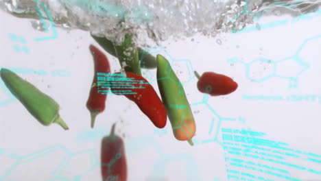 Spritzer-Ins-Wasser,-Paprika-Mit-Chemischer-Strukturanimation-Im-Hintergrund