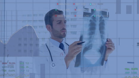 Examining-x-ray-with-medical-data-animation-overlay,-doctor-in-hospital-background