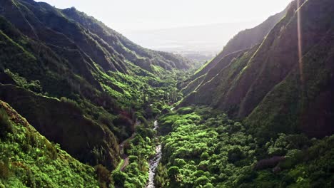 Tilt-up-reveal-shot-of-Iao-Valley,-Maui,-Hawaii