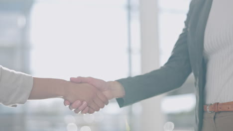 Closeup,-handshake-and-office-for-agreement