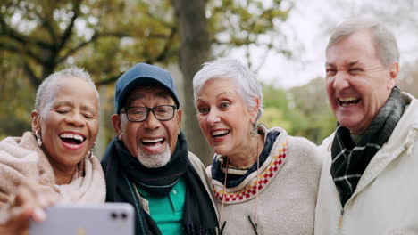 Selfie,-Lachen-Und-Eine-Gruppe-älterer-Menschen
