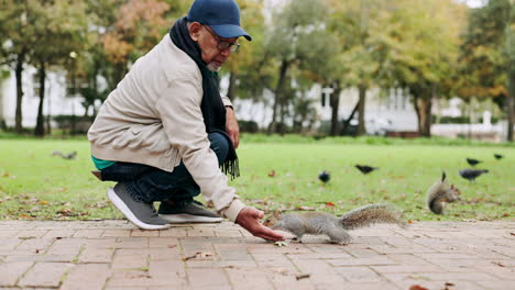 Relax,-squirrel-and-feeding-with-old-man-in-parks