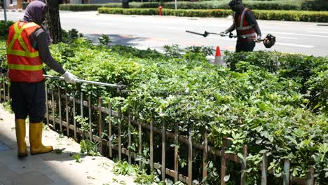 Singapore-22-june-2022-a-worker-from-the-municipality-cleans-fallen-leaves-,