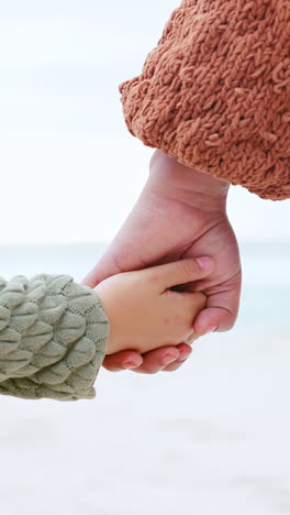 Madre,-Niño-Y-Zoom-Tomados-De-La-Mano-En-La-Naturaleza