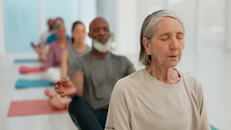 Yoga-Kurs,-Frau-Und-Meditation-Für-Fitness