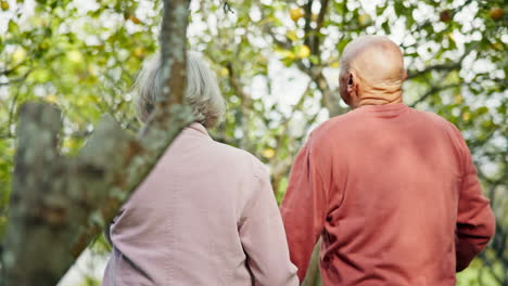 Senior-couple,-tree-and-walking-back-with-support