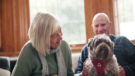 Senior-couple,-dog-and-couch-in-home-with-care