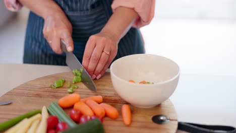 Cuchillo-De-Verduras,-Manos-Y-Persona-Que-Cocina-Cortando