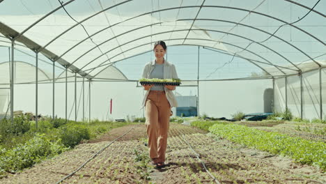 Asian-woman,-plant-and-walking-in-greenhouse