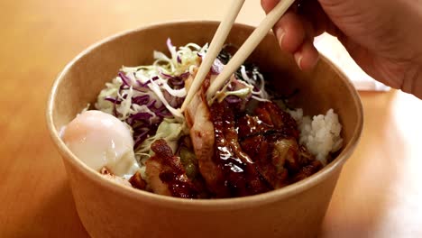 Singapore-chicken-meat-and-rice-on-a-plate-,