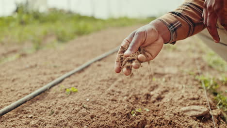 Farm,-hands-and-closeup-of-man-with-soil